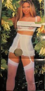 Poster Playmate Janneke Gieles Merselo Venray, Verzenden, Zo goed als nieuw, Film en Tv