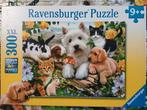 Dierenvriendjes - Ravensburger puzzel 300 stukjes, Ophalen, Minder dan 500 stukjes, Zo goed als nieuw, Legpuzzel