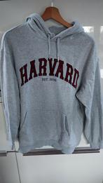 Grijze trui/ hoody, harvard. H&M, maat M, Kleding | Dames, Maat 38/40 (M), H&M, Ophalen of Verzenden, Zo goed als nieuw