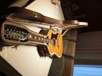 Eko-12 String-elecktrisch-akoestisch, Ophalen, Gebruikt, Western- of Steelstringgitaar, Met koffer