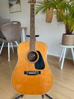 Akoestisch gitaar Morris MD 505, Ophalen of Verzenden, Gebruikt, Western- of Steelstringgitaar