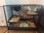 Rattenpenthouse / Knaagdierenkooi + toebehoren, Ophalen, Kooi, 60 tot 90 cm, Nieuw
