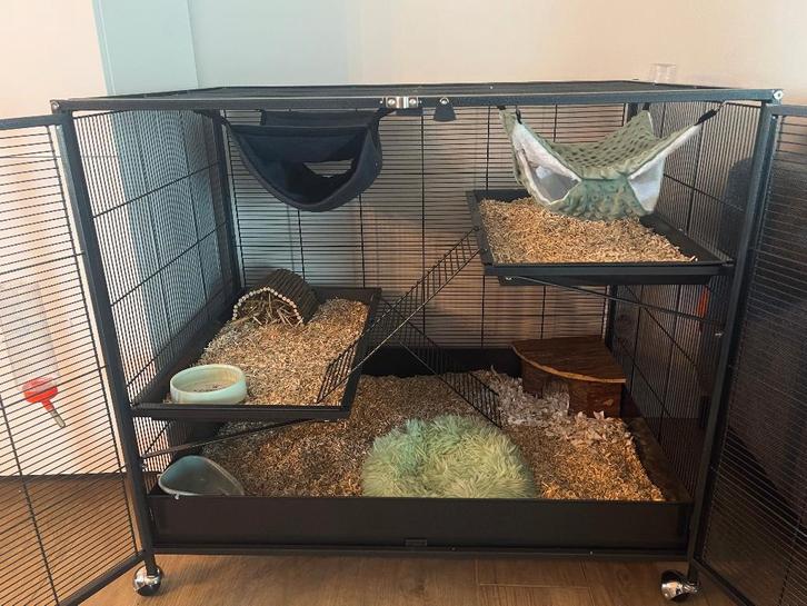 Rattenpenthouse / Knaagdierenkooi + toebehoren, Dieren en Toebehoren, Knaagdieren en Konijnen | Hokken en Kooien, Nieuw, Kooi