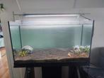 Aquarium 80 x 35 x 40 meubel met licht filter en bodem, Dieren en Toebehoren, Vissen | Aquaria en Toebehoren, Ophalen
