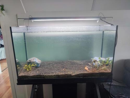 Aquarium 80 x 35 x 40 meubel met licht filter en bodem, Dieren en Toebehoren, Vissen | Aquaria en Toebehoren, Ophalen