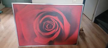 Schilderij rode roos 140x100