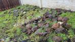 Gratis stenen/keien voor rotstuin, Tuin en Terras, Grind, Keien en Split, Ophalen, Gebruikt, Bruin, Kei