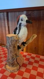 Bonte specht, Ophalen of Verzenden