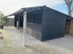 Paardenstal / Berging / Tuinhuis, Stalling, 2 of 3 paarden of pony's