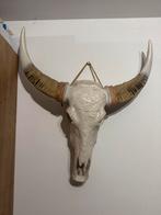 Decoratieve Buffel Schedel Wanddecoratie met Gravures, Huis en Inrichting, Ophalen, Zo goed als nieuw