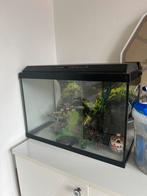 Juwel Primo 70 aquarium (70 LITER), Dieren en Toebehoren, Ophalen of Verzenden, Gebruikt, Leeg aquarium