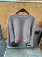 Trui Zara maat S, Kleding | Dames, Truien en Vesten, Ophalen of Verzenden, Zo goed als nieuw, Maat 36 (S), Zara