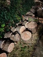 Apenboom/Slangenden Stammen - Brandhout/Knutselen, Doe-het-zelf en Verbouw, Hout en Planken, Ophalen, Overige houtsoorten