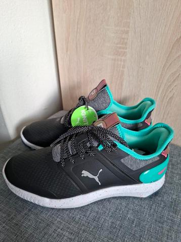 Puma Palm Tree crew golf, Sportschoenen - Maat 41 beschikbaar voor biedingen