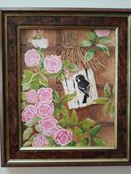 Bonte vliegenvanger klimrozen laatste keer afgeprijsd!!!!!!!, Ophalen of Verzenden