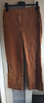 H&M ribcord wijde broek, cognac bruin, maat 40, valt als 38, Kleding | Dames, Broeken en Pantalons, Ophalen of Verzenden, Zo goed als nieuw