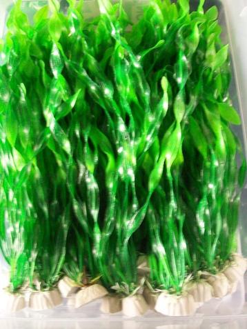 decoratieve kunststof aquariumplantjes voor 1.50 euro p.s. beschikbaar voor biedingen