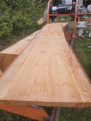 Schaaldeel boomstamtafel sidetable LIBANON CEDAR  beschikbaar voor biedingen