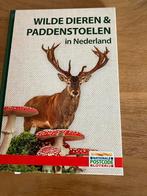 Paddenstoelen, Ophalen of Verzenden, Nieuw