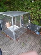 Prachtige volière met uitlaatplank te koop, Dieren en Toebehoren, Vogels | Overige Vogels, Meerdere dieren