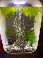 Biorb vissenkom 45 liter wit, Dieren en Toebehoren, Ophalen of Verzenden, Zo goed als nieuw, Leeg aquarium