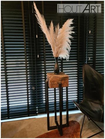 Zuil / plantenzuil stalen (spin) frame met SPOORBIELS! beschikbaar voor biedingen