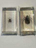 Insecten in acrylhars, Verzamelen, Dierenverzamelingen, Ophalen of Verzenden, Nieuw, Opgezet dier