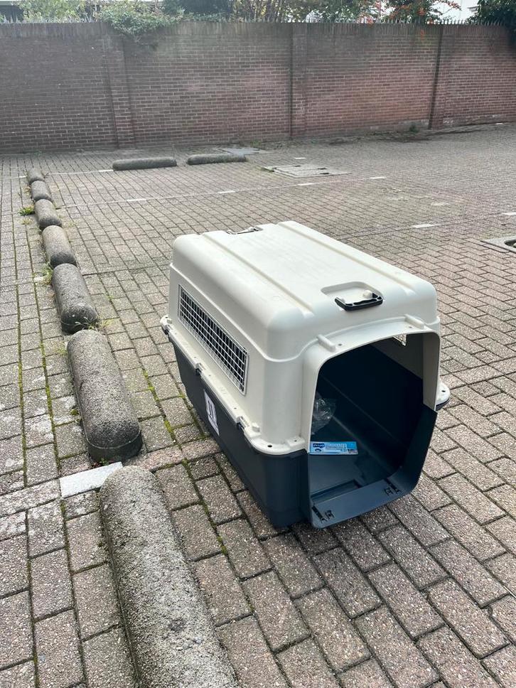 IATA conform travel kennel for medium to big dog, Dieren en Toebehoren, Hondenhokken, Zo goed als nieuw, Hondenkennel, 65 tot 100 cm