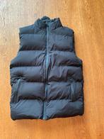 Bodywarmer maat L, Ophalen of Verzenden, Nieuw, Maat 52/54 (L), Zwart