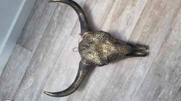 Grote buffelschedel goudkleurig decoratie  beschikbaar voor biedingen