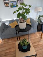 Two plants with metal tray, Huis en Inrichting, Ophalen of Verzenden, Zo goed als nieuw