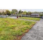 Sexum groen dak in cassettes of matten pakket