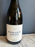 Adrien Lattard Bourgogne Aligoté 2022, Frankrijk, Nieuw, Ophalen of Verzenden, Witte wijn