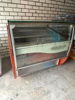 Nette ijsvitrine 12 baks - Werkt perfect!, Ophalen, Gebruikt, Koelen en Vriezen