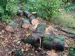 Haardhout - Esdoornhout - houtblokken, Tuin en Terras, 3 tot 6 m³, Ophalen, Essenhout, Blokken