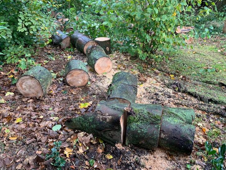 Haardhout - Esdoornhout - houtblokken, Tuin en Terras, Haardhout, Blokken, Essenhout, 3 tot 6 m³, Ophalen