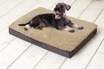 Orthopedisch hondenkussen Buddy 100x65x10 cm Beige, Ophalen of Verzenden, Nieuw, Stof