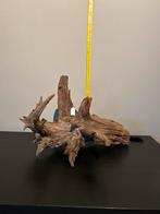 Prachtig stuk Kienhout / Driftwood / Spiderwood #2, Ophalen of Verzenden, Zo goed als nieuw, Plant(en), Steen of Hout