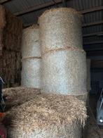 Tarwestro, Dieren en Toebehoren, Dierenvoeding, Ophalen of Verzenden, Vee