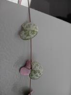 String of hearts." Ceropegia Woodii", Ophalen of Verzenden, Zomer, Volle zon