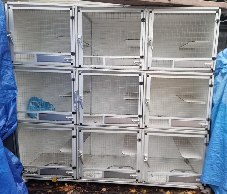 Kennelkast, kattenkast, quarantainekast, kattenkooi, Dieren en Toebehoren, Overige Dieren-accessoires, Zo goed als nieuw, Ophalen