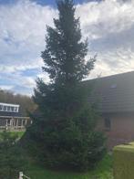 Kerstboom minimaal 6m, Tuin en Terras, Buitenverlichting, Ophalen of Verzenden, Netvoeding, Minder dan 50 watt, Overige typen