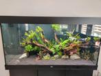 Aquarium Juwel 350, Ophalen, Zo goed als nieuw, Leeg aquarium