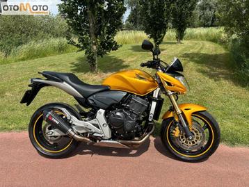 HONDA CB 600 F HORNET (bj 2007) beschikbaar voor biedingen