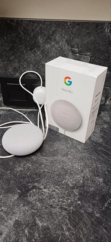 Google nest mini  beschikbaar voor biedingen