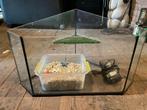 Schildpadden, Dieren en Toebehoren, Ophalen of Verzenden, Leeg aquarium