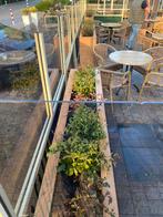 Horeca terras plantenbakken op maat gemaakt, Tuin en Terras, Bloembakken en Plantenbakken, Ophalen of Verzenden, Nieuw, Hout, Tuin