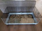 Konijnenhok 120x60 Ferplast, Ophalen, Kooi, 110 cm of meer, Zo goed als nieuw