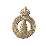 Canadese Capbadge (baretembleem) Canadian Forestry Corps, Verzamelen, Militaria | Tweede Wereldoorlog, Ophalen of Verzenden, Landmacht