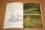 Natuur tuinieren - Praktijkboek voor de wilde-plantentuin, Ophalen of Verzenden, Gelezen, Tuinieren en Tuinplanten